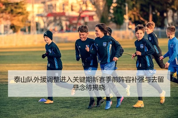 泰山队外援调整进入关键期新赛季前阵容补强与去留悬念待揭晓